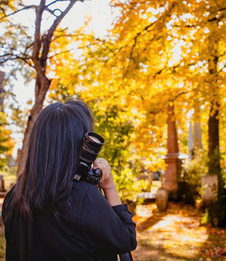 Cover media image