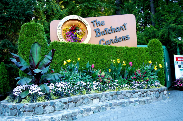 Cover media image