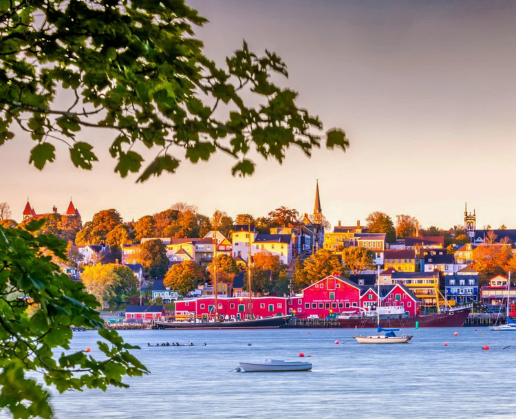 Cover media image