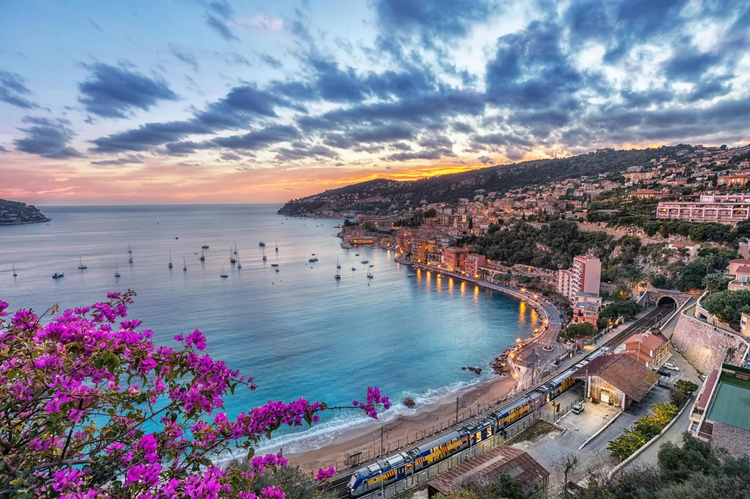 Cover media image