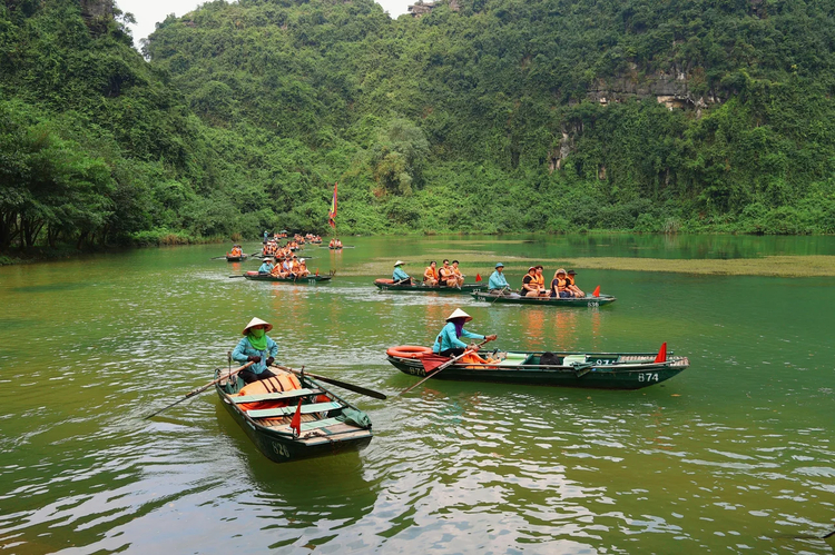 Cover media image