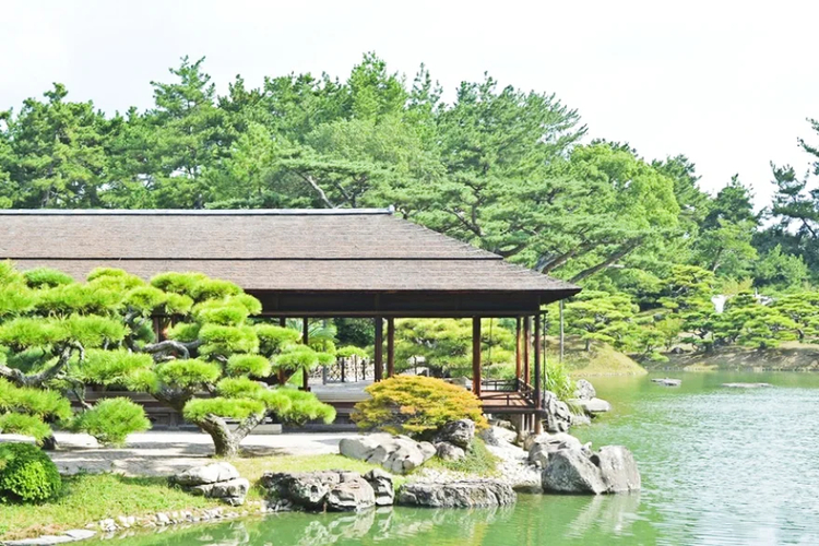 Cover media image