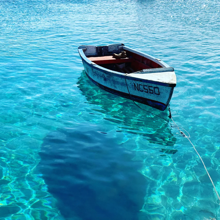 Cover media image