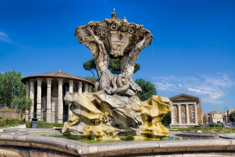 Cover media image