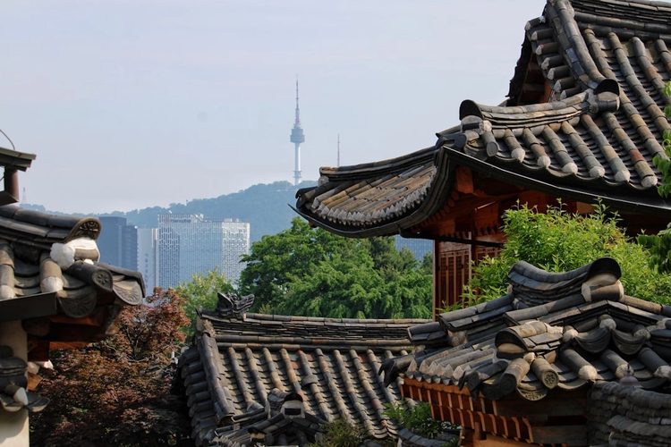 Essential Seoul: Half-Day Walking Tour of the Major Highlights