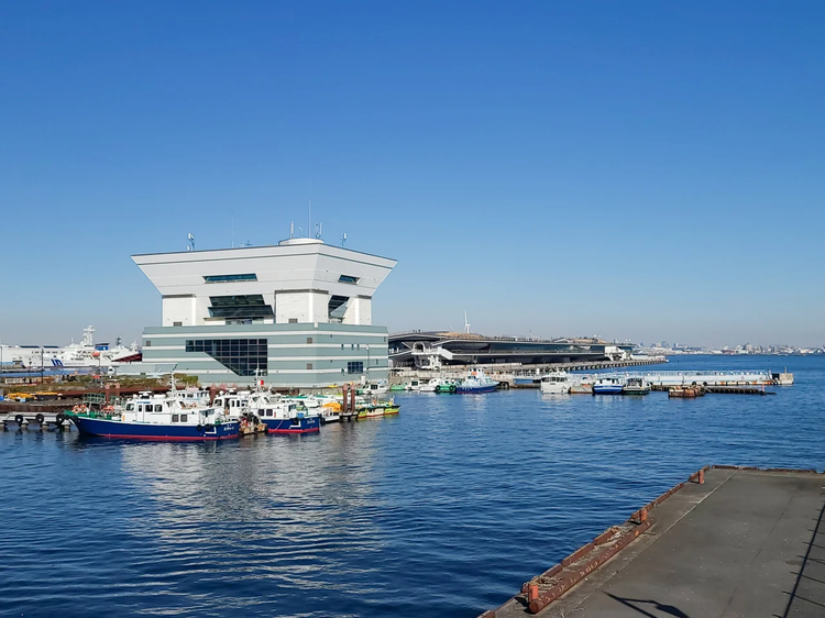 Cover media image