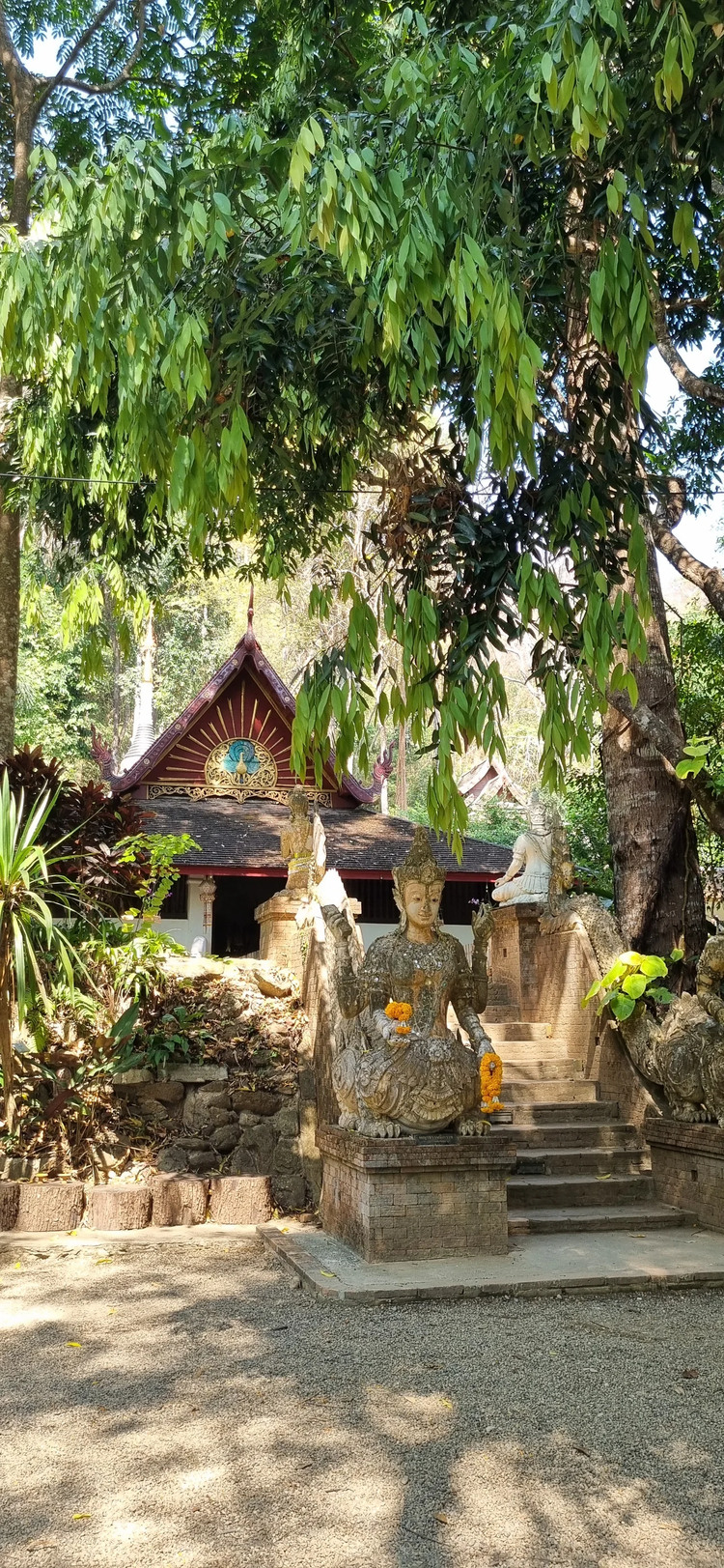 Cover media image