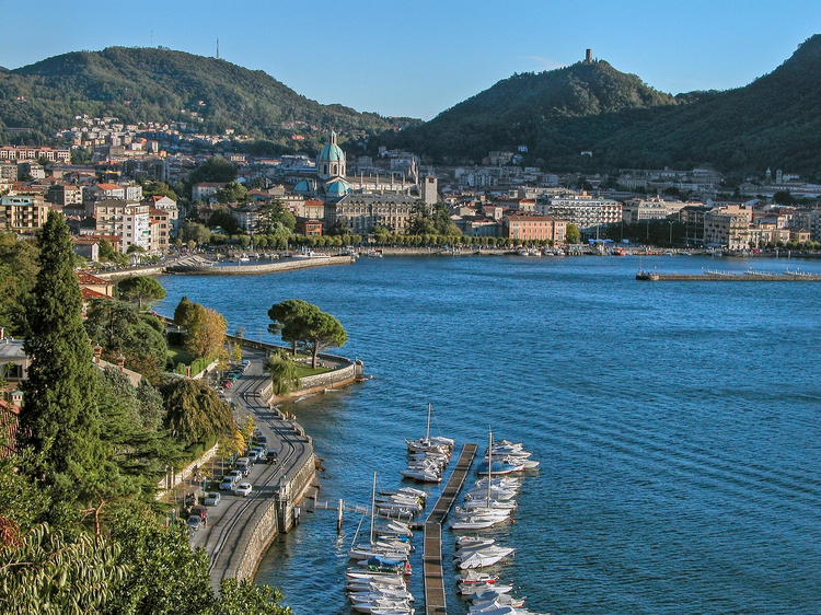 Cover media image