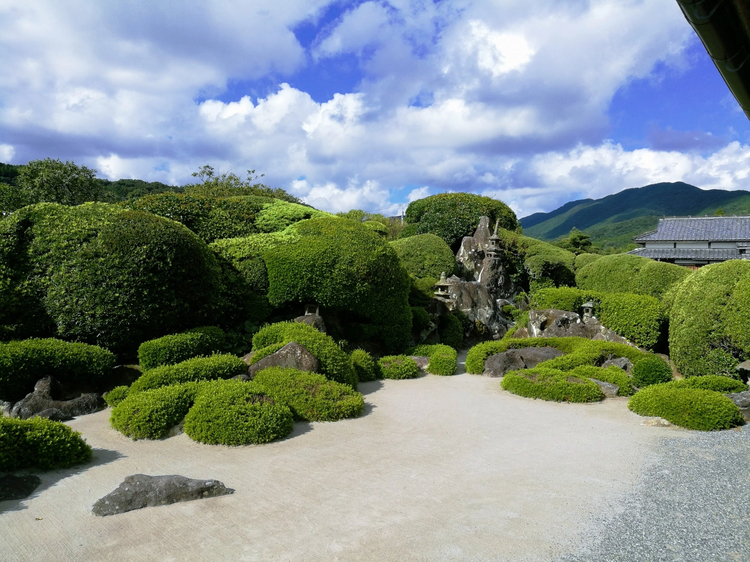 Cover media image