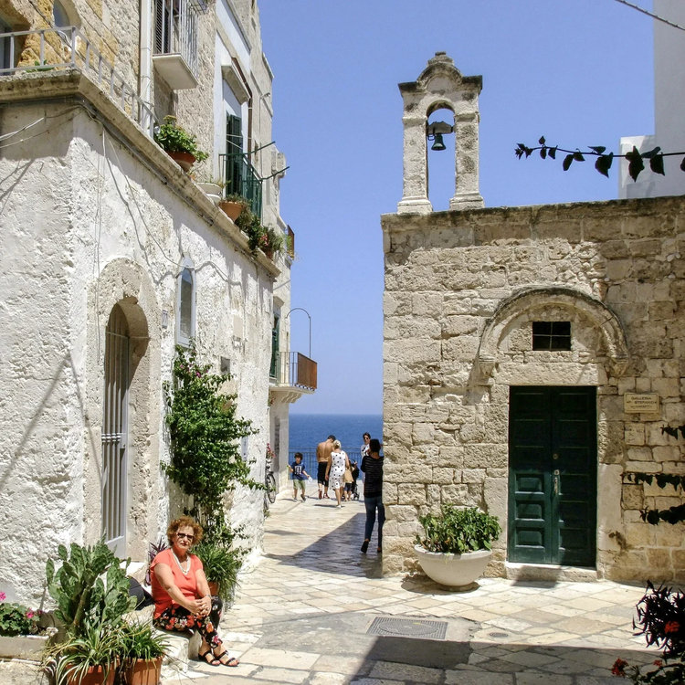 Cover media image