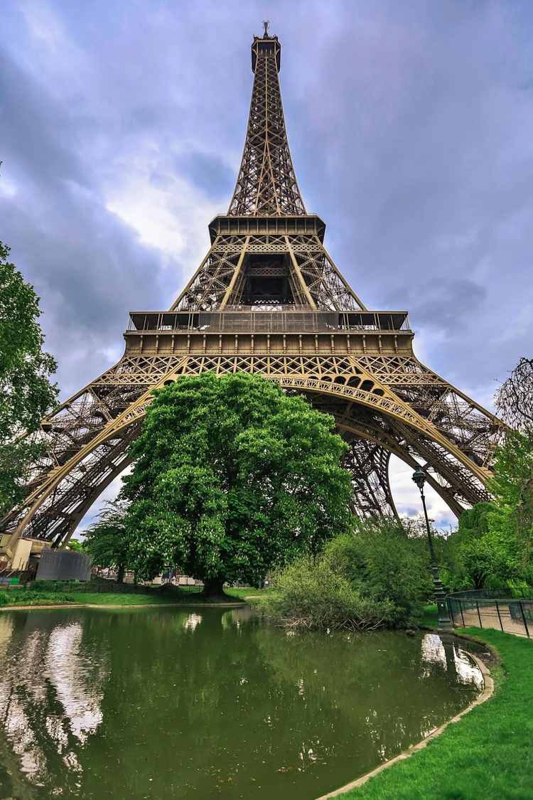 Cover media image