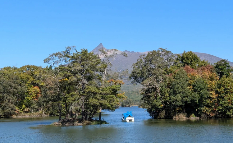 Cover media image