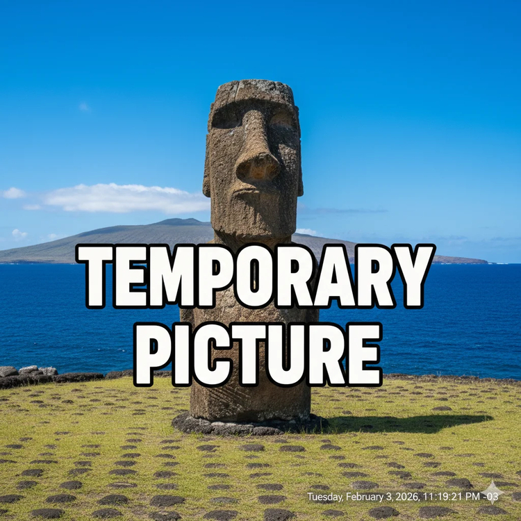 Cover media image