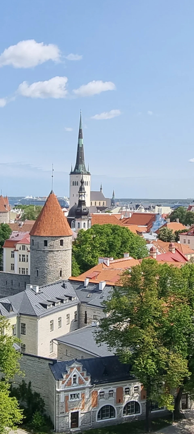 Cover media image