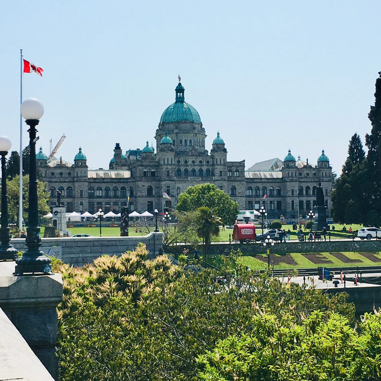 Cover media image