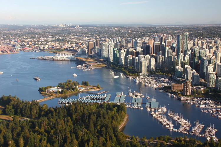 Cover media image