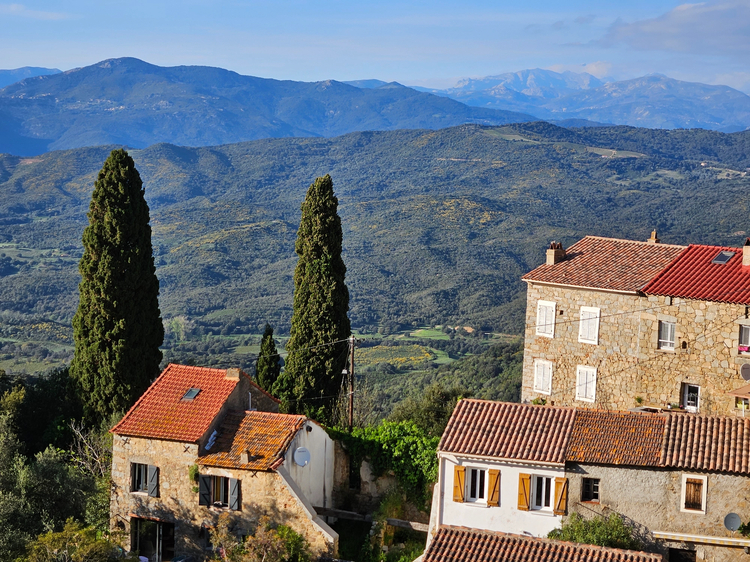 Cover media image
