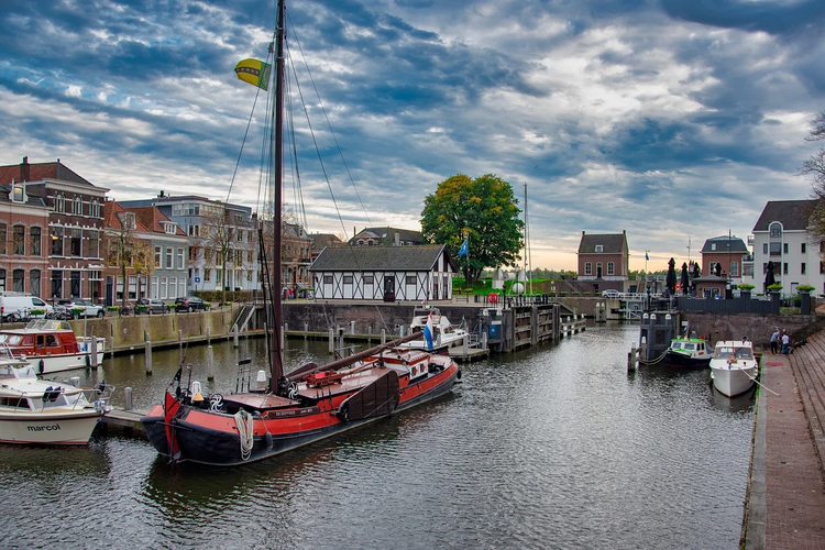 Cover media image