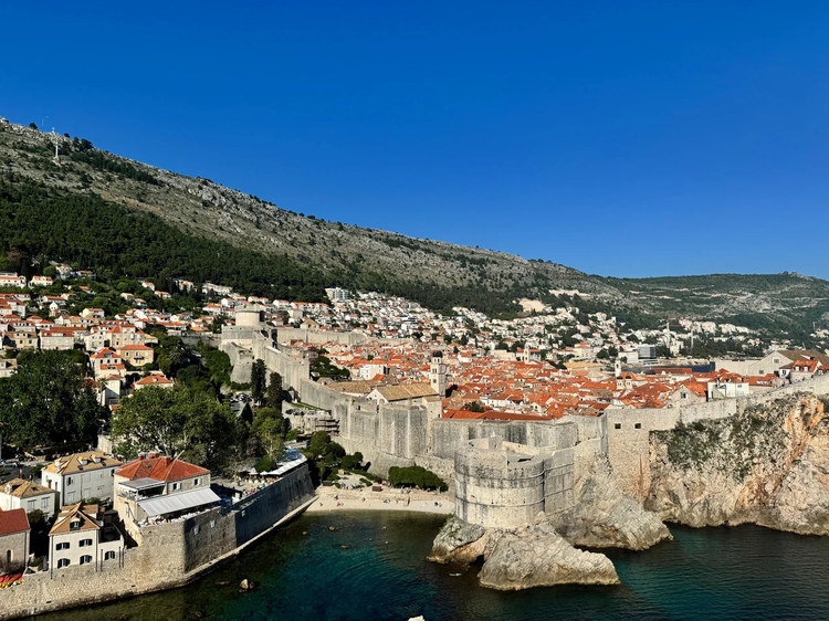 Cover media image