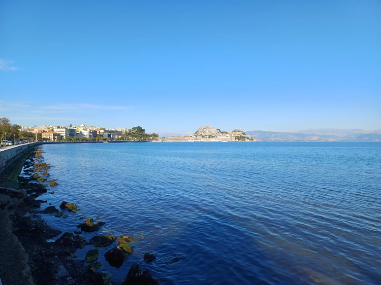 Cover media image