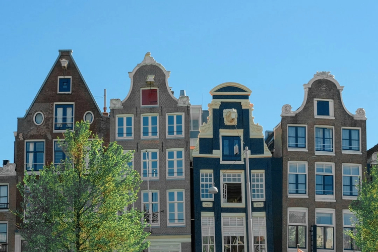 Iconic Amsterdam: Half-Day Private Driving Tour with Panoramic Stops