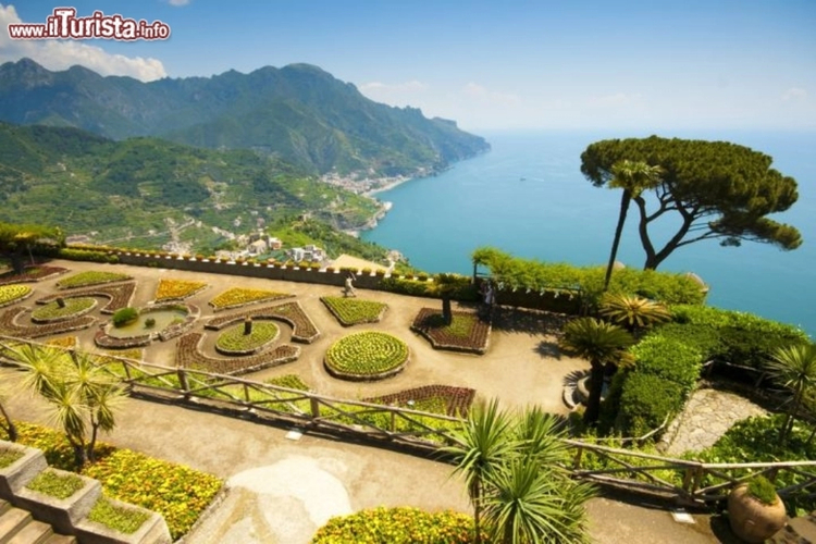 Cover media image