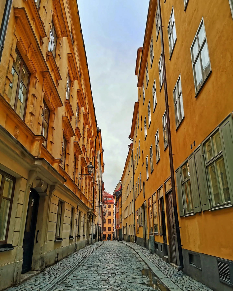 Cover media image