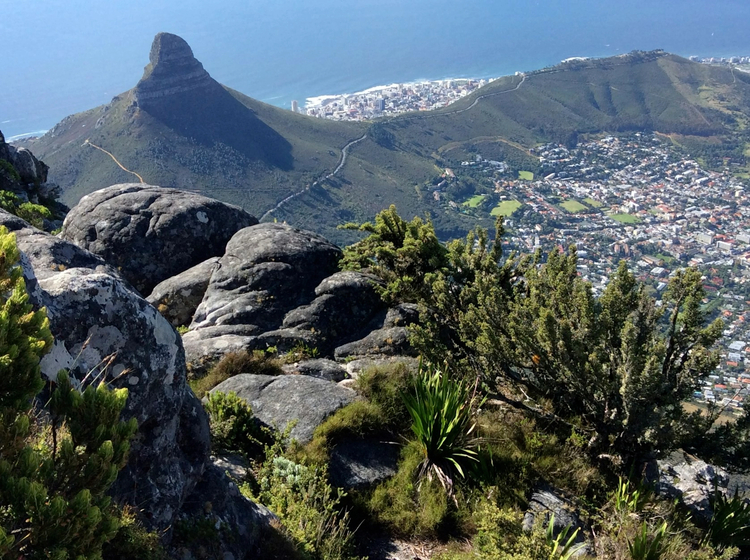 Essential Cape Town: Half-Day Walking Tour of the Major Highlights