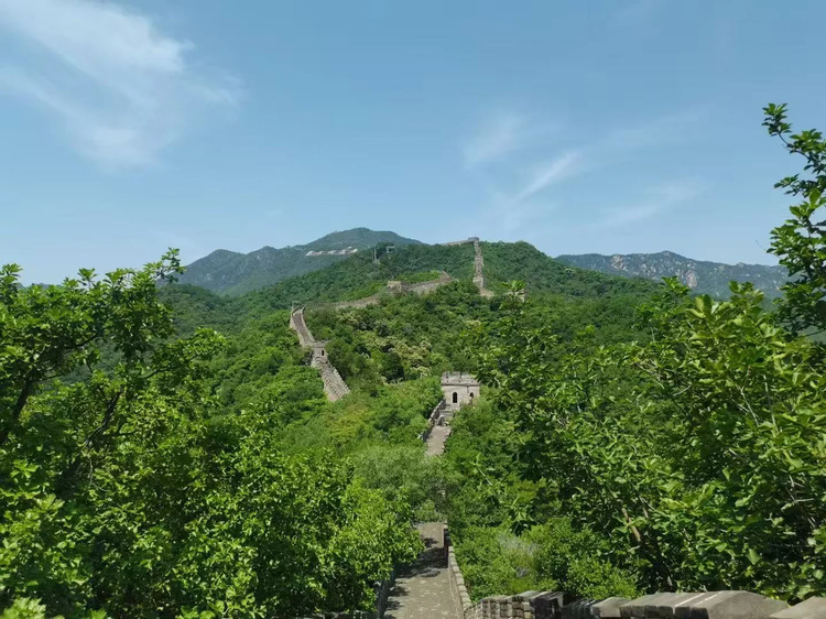 Cover media image