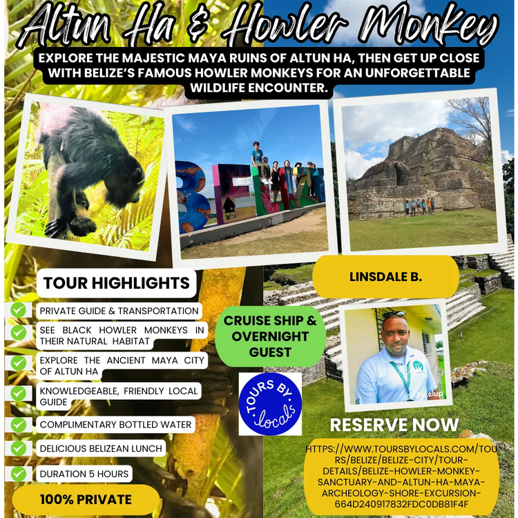 Cover media image