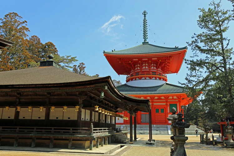 Cover media image