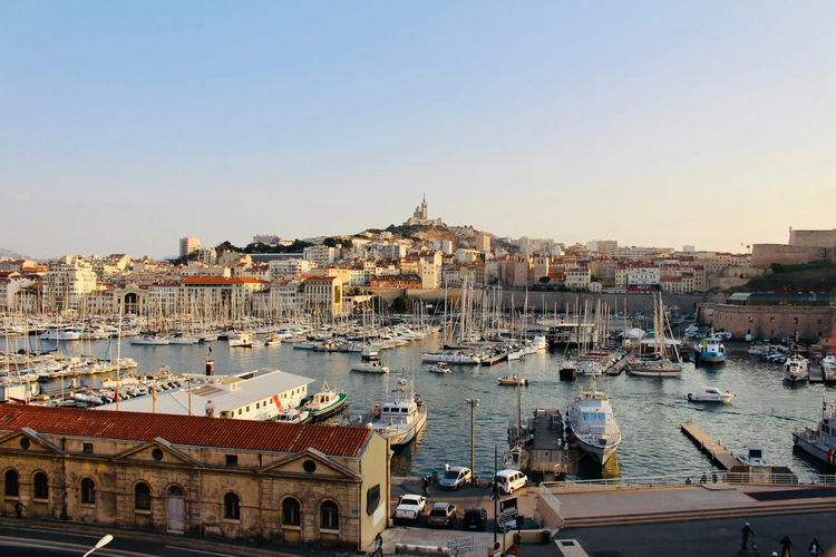 Cover media image