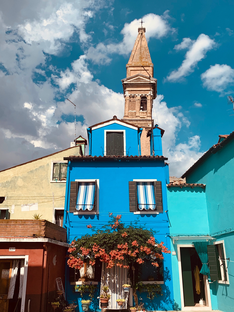 Cover media image