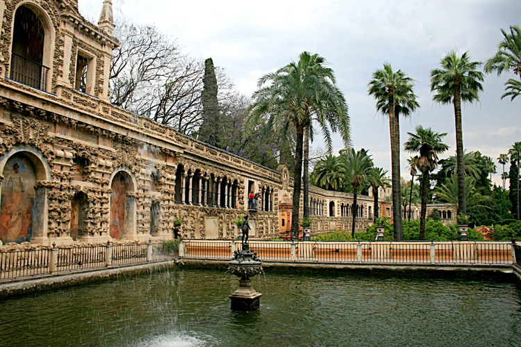 Cover media image