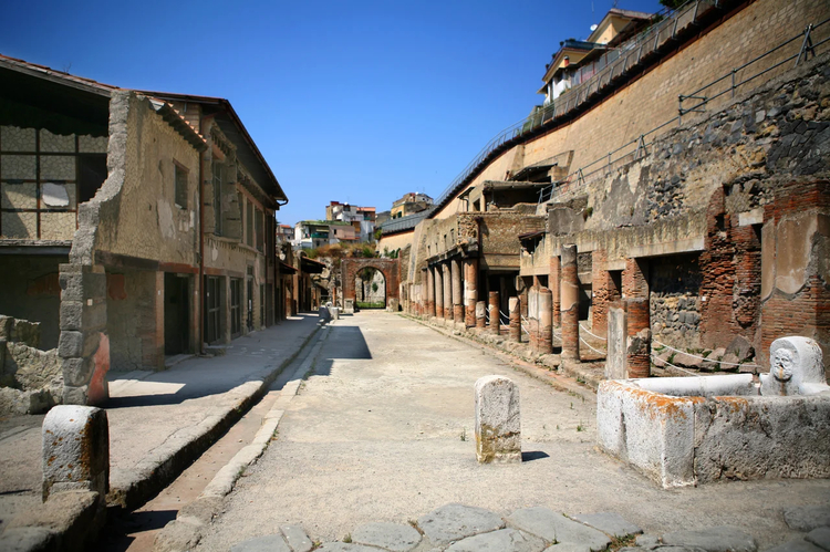 Cover media image