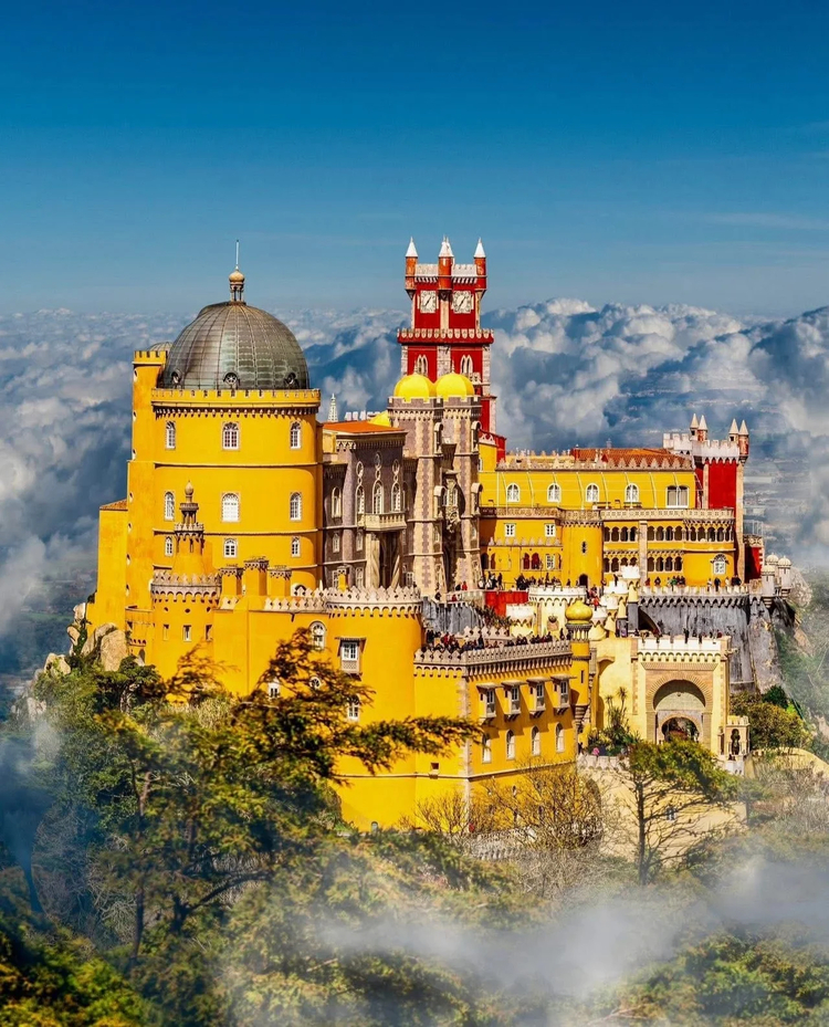 Cover media image