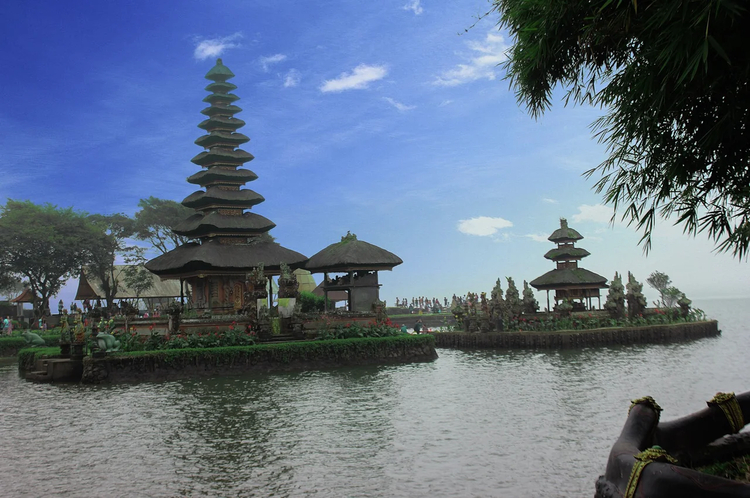 Cover media image