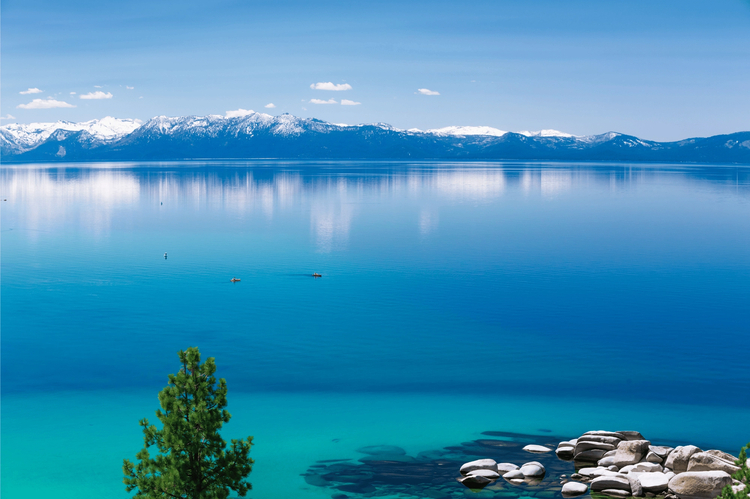 Cover media image