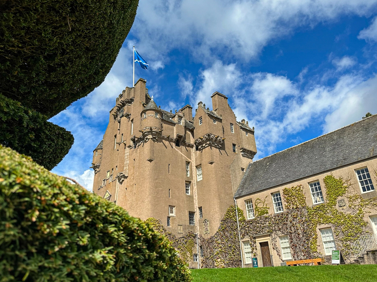 Cover media image
