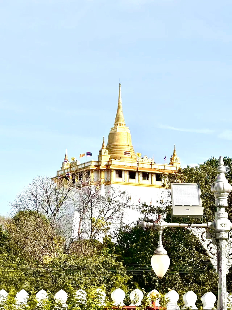 Cover media image