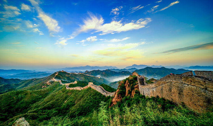 Cover media image