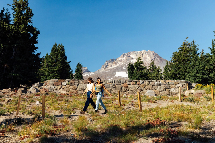 Cover media image