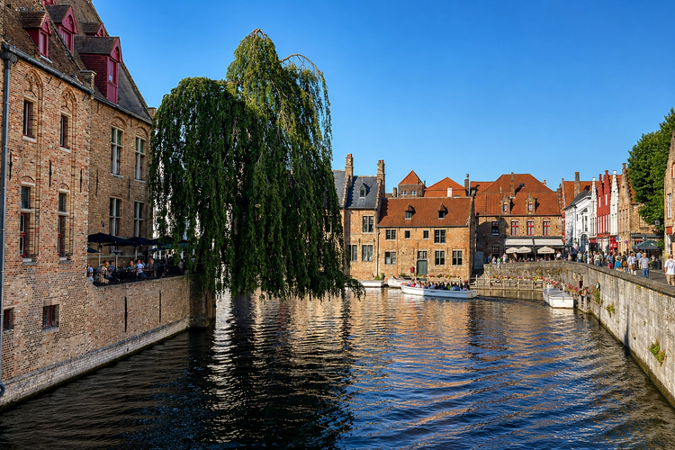 Cover media image
