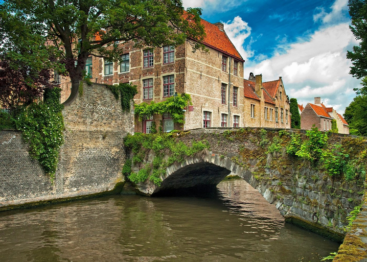 Cover media image