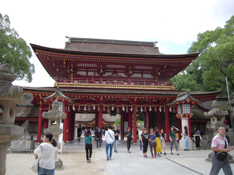Cover media image