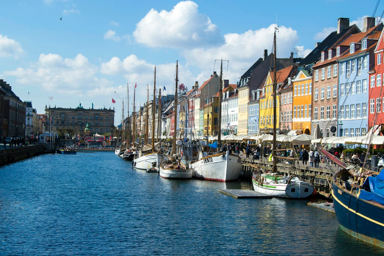 Iconic Copenhagen: Half-Day Private Driving Tour with Panoramic Stops
