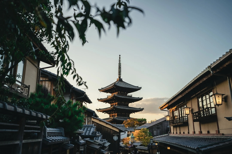 Essential Kyoto: Half-Day Walking Tour of the Major Highlights