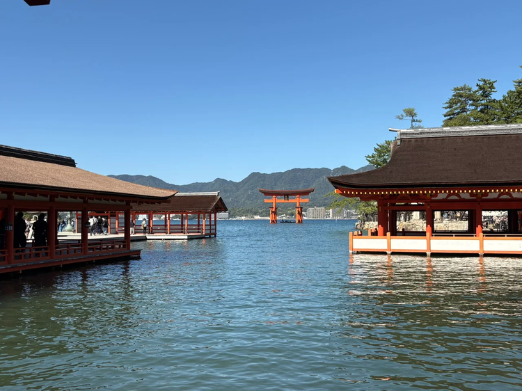 Cover media image