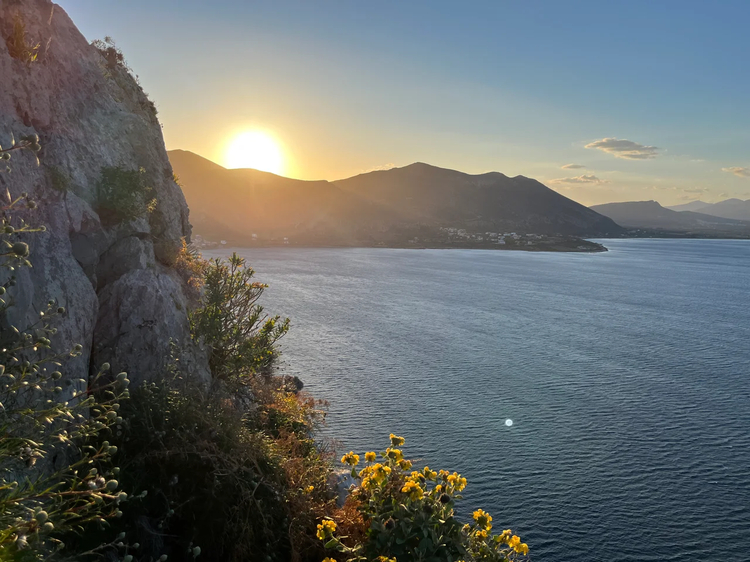 Cover media image