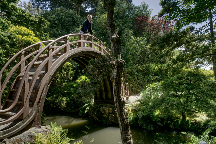 Cover media image